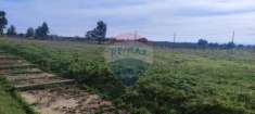 Foto Terreno agricolo in vendita a Ramacca