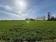 Foto Terreno agricolo in vendita a Ravenna