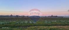 Foto Terreno agricolo in vendita a Ravenna