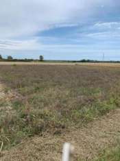 Foto Terreno agricolo in vendita a Ravenna