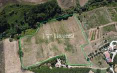 Foto Terreno agricolo in vendita a Recanati