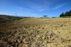 Foto Terreno agricolo in vendita a Riolo Terme
