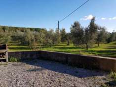 Foto Terreno agricolo in vendita a Riotorto - Piombino 4235 mq  Rif: 774741
