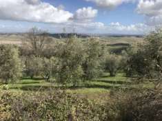Foto Terreno agricolo in vendita a Rivalto - Chianni 11000 mq  Rif: 774561