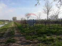Foto Terreno agricolo in vendita a Rivarolo Mantovano