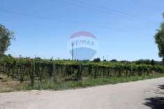 Foto Terreno agricolo in vendita a Rocca San Giovanni