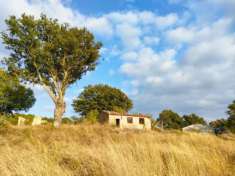 Foto Terreno agricolo in vendita a Roccalbegna 400000 mq  Rif: 1197886