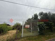 Foto Terreno agricolo in vendita a Roma