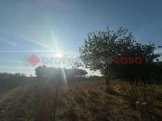 Foto Terreno agricolo in vendita a Roma