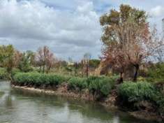 Foto Terreno agricolo in vendita a Roma