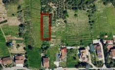Foto Terreno agricolo in vendita a Romagnano - Massa 1000 mq  Rif: 1355350