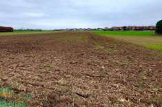 Foto Terreno agricolo in Vendita a Roncello