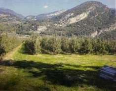 Foto Terreno agricolo in vendita a Rovereto