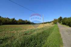 Foto Terreno agricolo in vendita a Sala Baganza