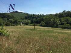 Foto Terreno agricolo in vendita a San Costanzo