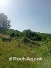 Foto Terreno agricolo in vendita a San Damiano Al Colle