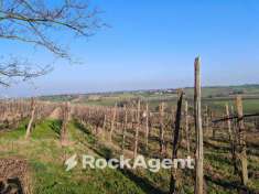 Foto Terreno agricolo in vendita a San Damiano Al Colle
