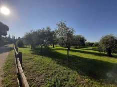Foto Terreno agricolo in Vendita a San Felice del Benaco