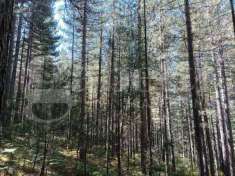 Foto Terreno agricolo in vendita a San Giovanni In Fiore