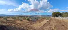 Foto Terreno agricolo in vendita a San Giovanni Rotondo
