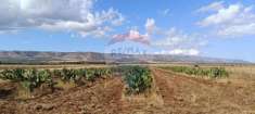 Foto Terreno agricolo in vendita a San Giovanni Rotondo