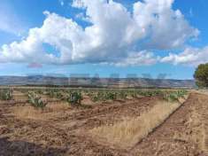 Foto Terreno agricolo in vendita a San Giovanni Rotondo