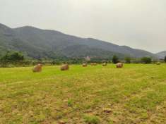 Foto Terreno agricolo in vendita a San Giuliano Terme 17000 mq  Rif: 1294522
