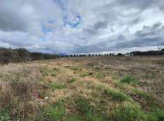 Foto Terreno agricolo in vendita a San Giuliano Terme