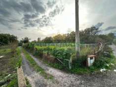 Foto Terreno agricolo in vendita a San Giuseppe Vesuviano