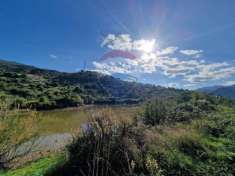 Foto Terreno agricolo in vendita a San Mauro Castelverde