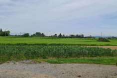Foto Terreno agricolo in Vendita a San Miniato Via Tosco Romagnola Est,