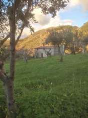 Foto Terreno agricolo in vendita a San Nicola Arcella