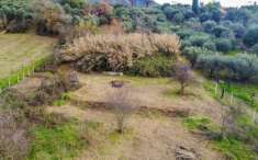 Foto Terreno agricolo in vendita a San Polo Dei Cavalieri