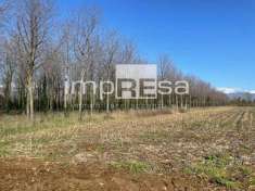 Foto Terreno agricolo in vendita a San Quirino