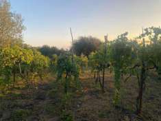 Foto Terreno agricolo in vendita a San Sebastiano Al Vesuvio