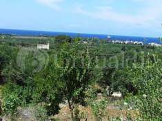 Foto Terreno agricolo in vendita a Sannicola