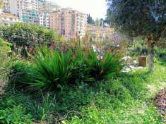 Foto Terreno agricolo in vendita a Sanremo
