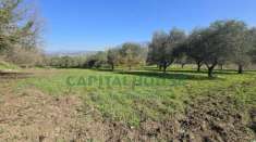 Foto Terreno agricolo in vendita a Sant'Agata De' Goti