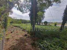 Foto Terreno agricolo in vendita a Sant'Ambrogio Di Valpolicella