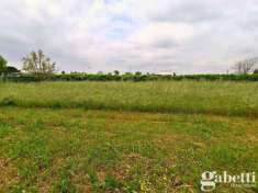 Foto Terreno agricolo in vendita a Sant'Anastasia
