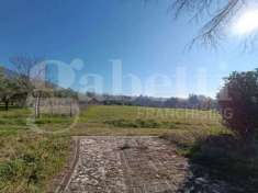 Foto Terreno agricolo in vendita a Sant'Angelo D'Alife