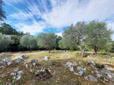 Foto Terreno agricolo in vendita a Sant'Angelo Romano