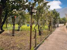 Foto Terreno agricolo in vendita a Sant'Egidio Del Monte Albino