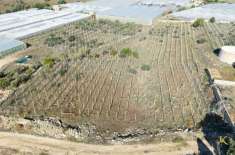 Foto Terreno agricolo in vendita a Santa Croce Camerina