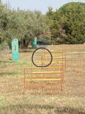 Foto Terreno agricolo in vendita a Santa Maria Di Licodia