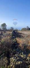 Foto Terreno agricolo in vendita a Santa Maria Di Licodia