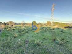 Foto Terreno agricolo in vendita a Santa Marinella