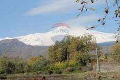 Foto Terreno agricolo in vendita a Santa Venerina