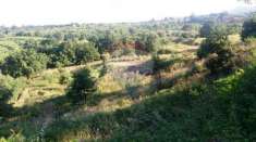 Foto Terreno agricolo in vendita a Santa Venerina