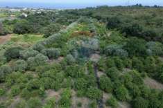 Foto Terreno agricolo in vendita a Santa Venerina